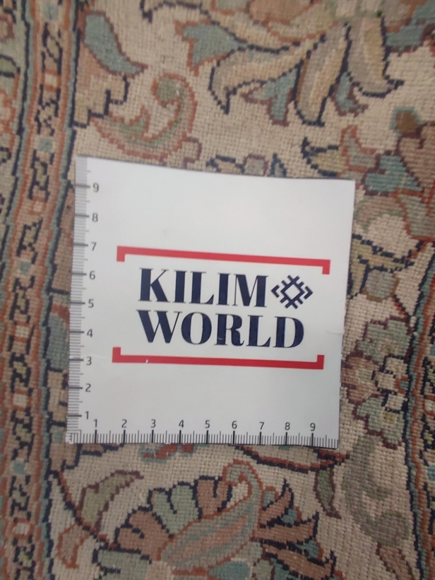 Kashmir Silk Exclusive
