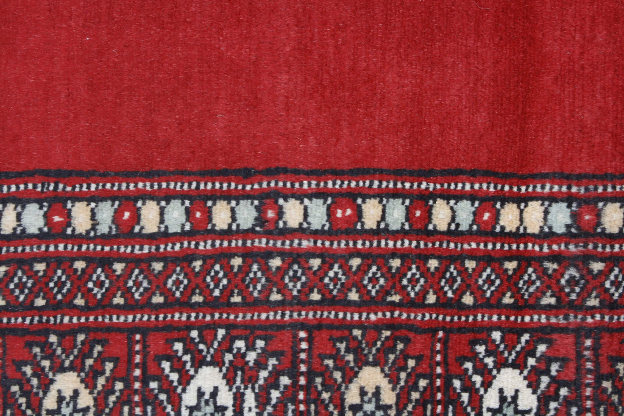 Dywan orientalny Bukhara Premium