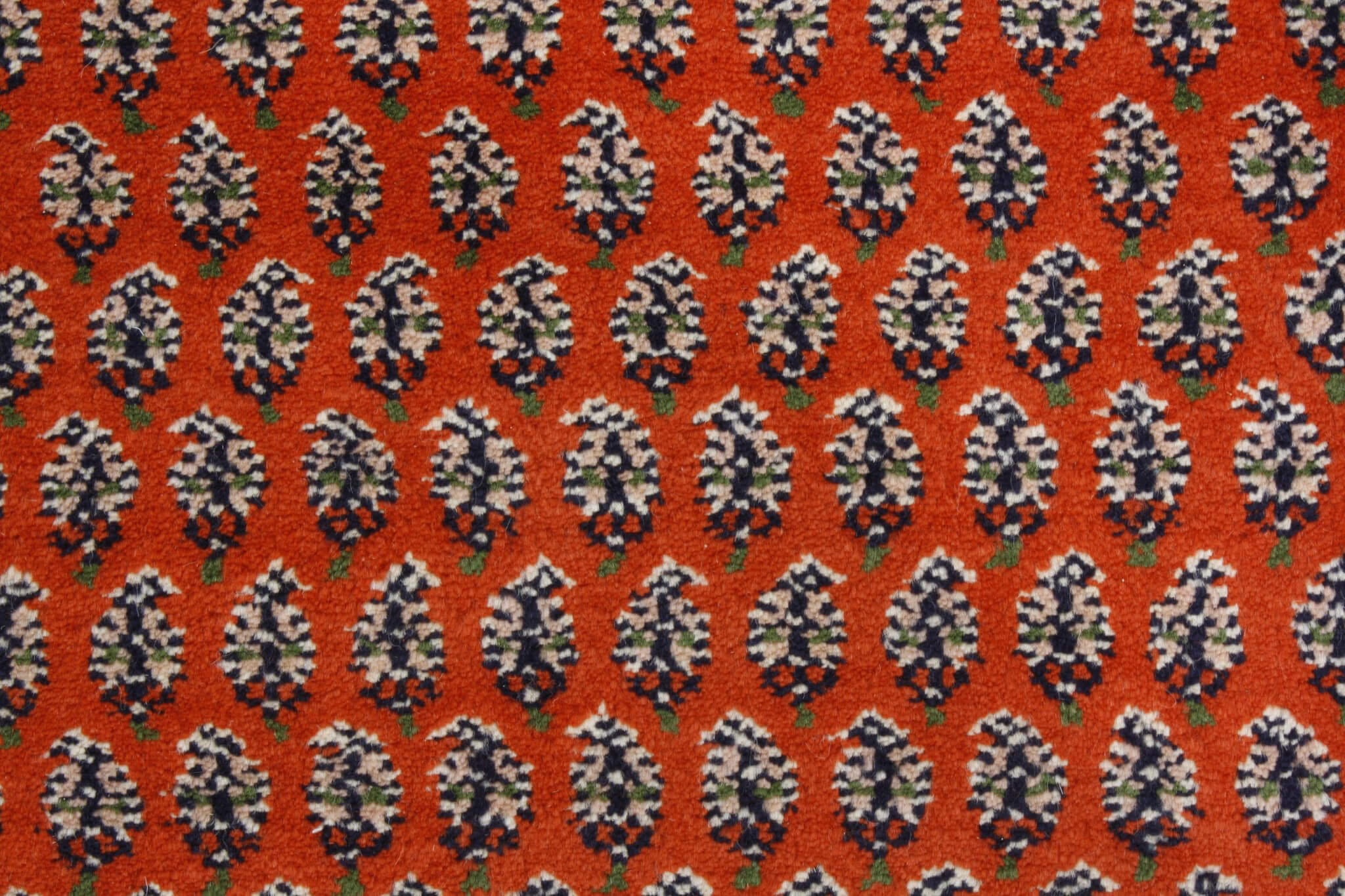 Dywan orientalny Sarough Exclusive