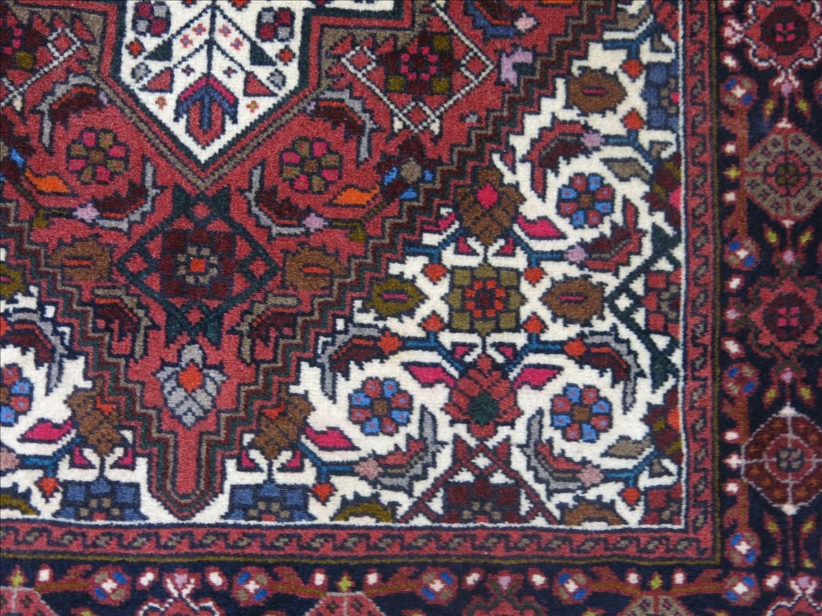 Dywan orientalny Goltogh Exclusive