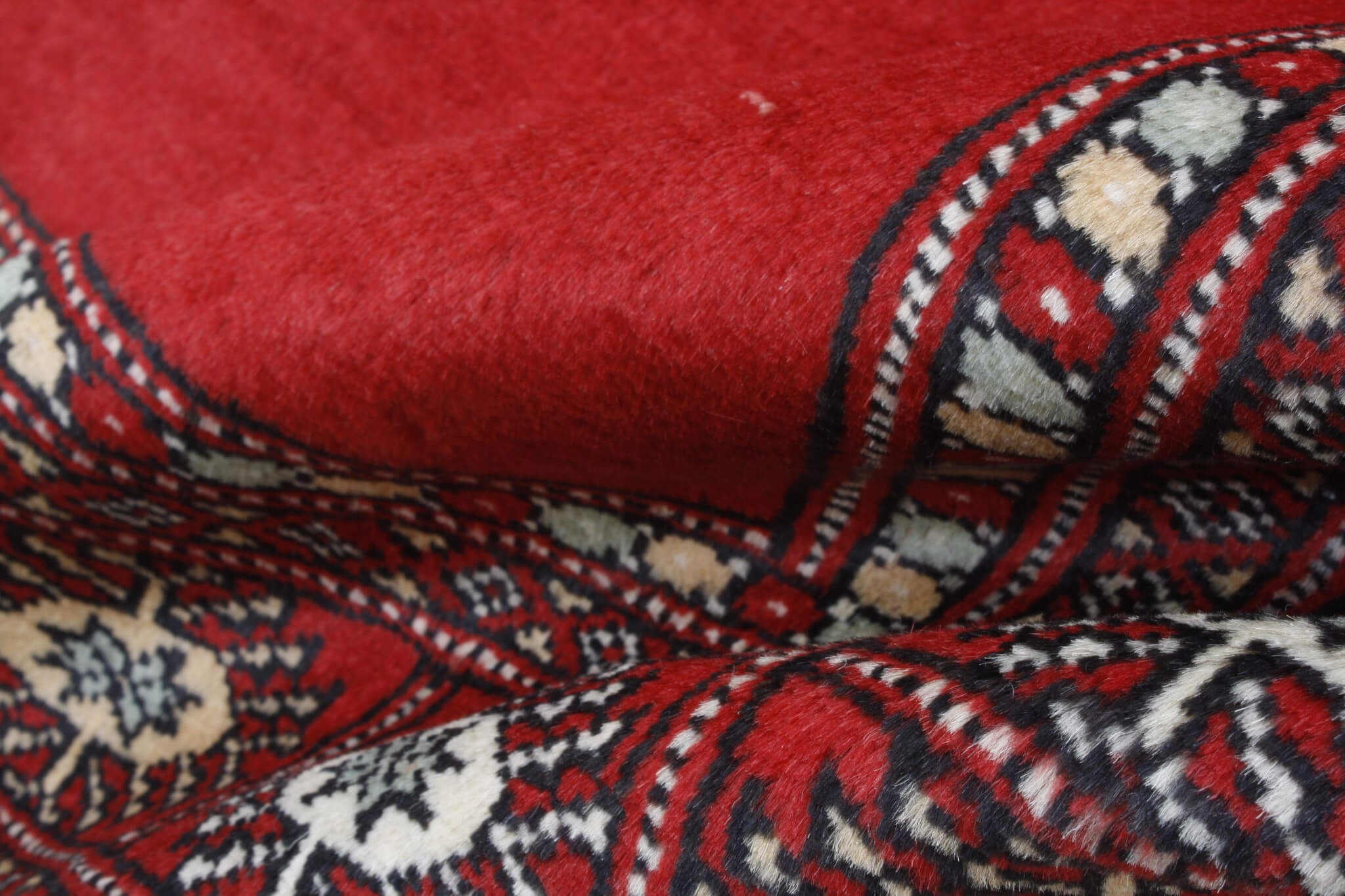 Dywan orientalny Bukhara Premium