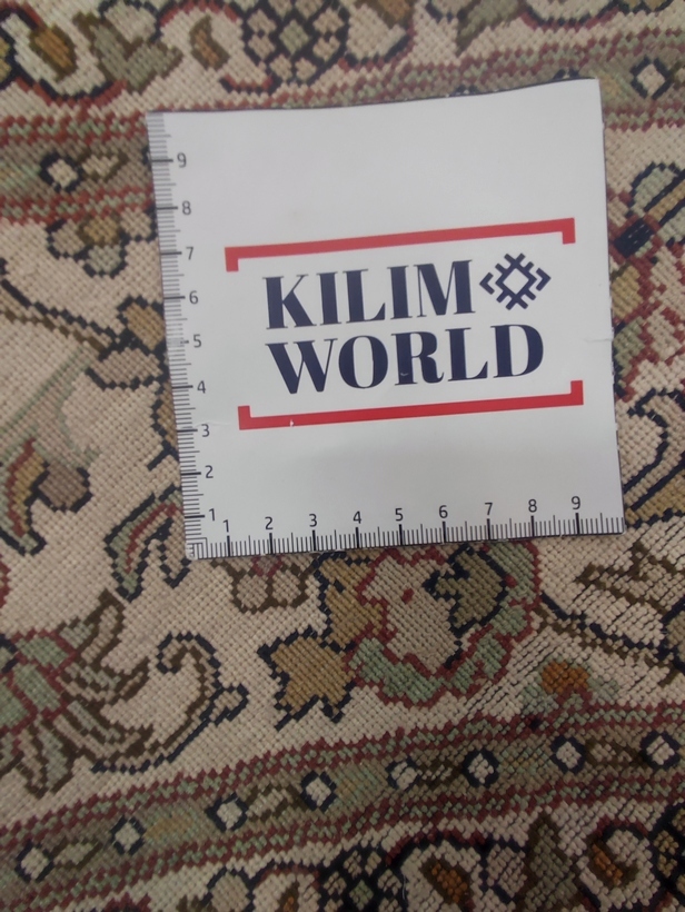 Kashmir Silk Exclusive