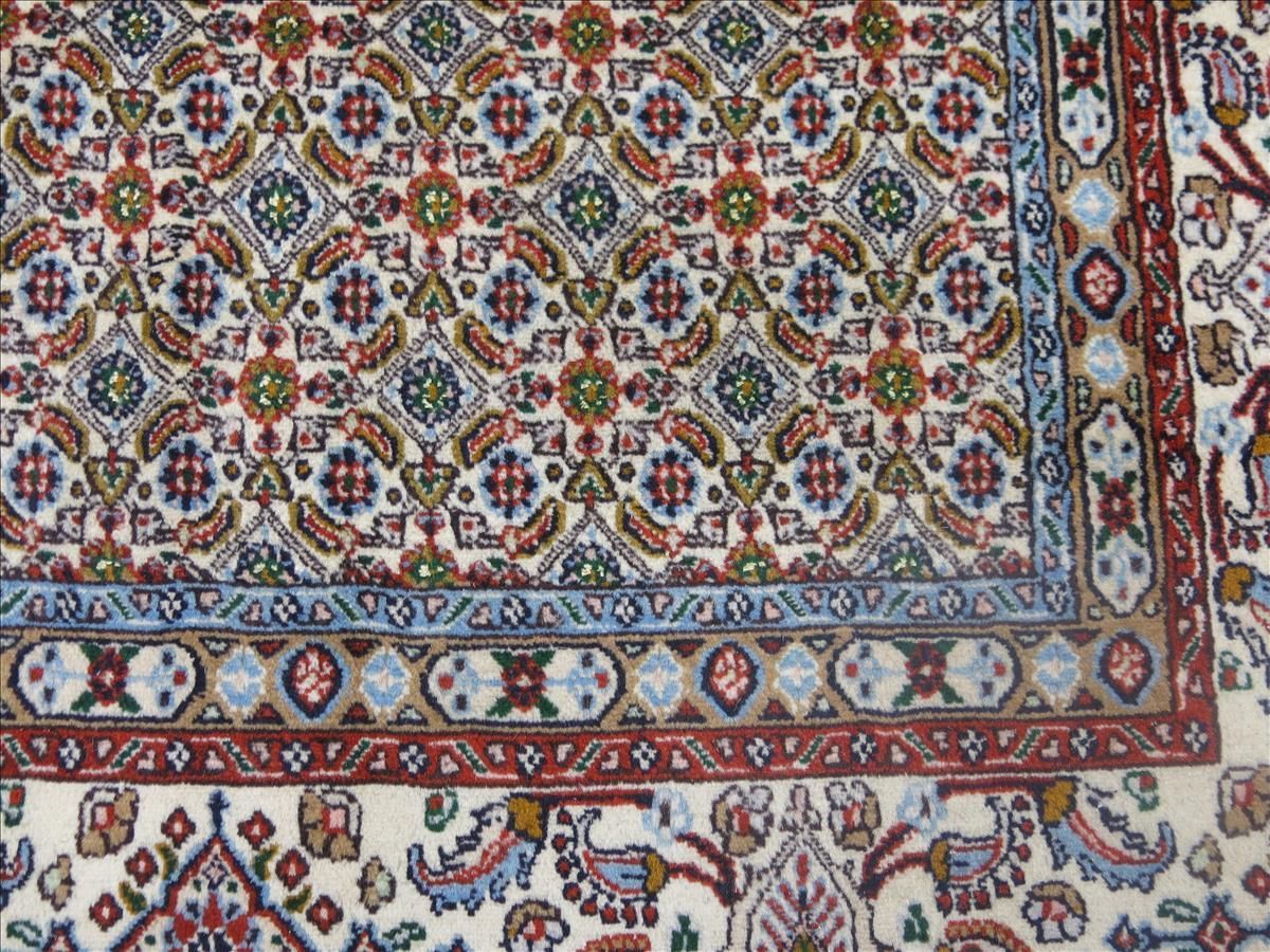 Dywan orientalny Moud Super