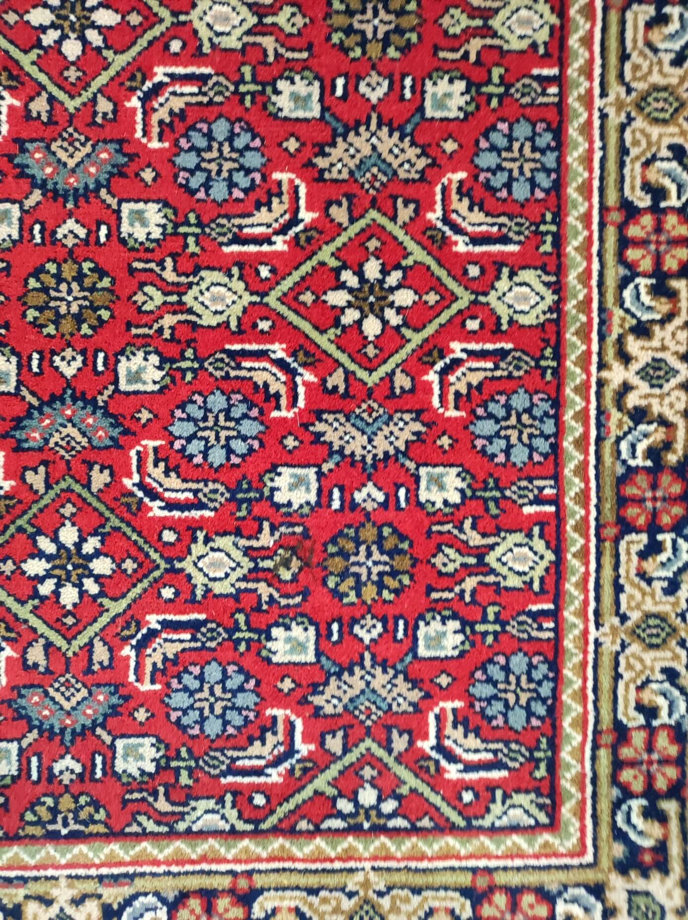 Dywan orientalny Herati Exclusive